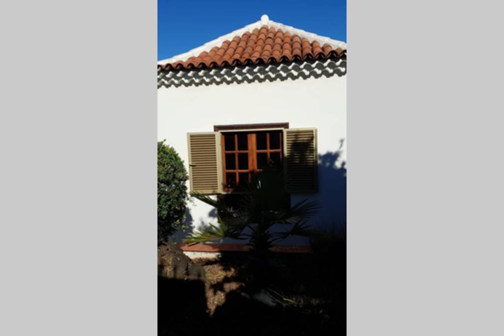 Villa La Paz Puerto de la Cruz (Tenerife) Exterior foto