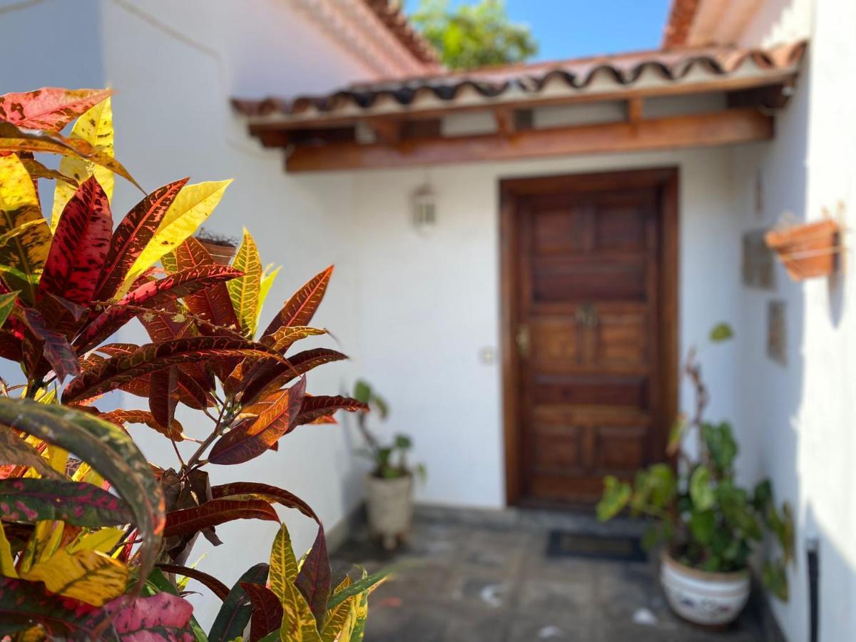 Villa La Paz Puerto de la Cruz (Tenerife) Exterior foto